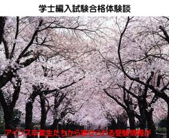 京都大学医学部人間健康科学科先端看護コース学士編入試験合格体験談